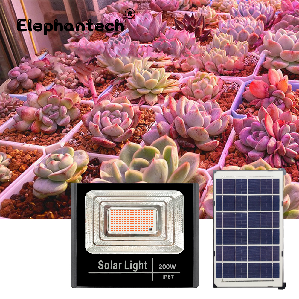 LED Full Spectrum Phyto Lamp 2 - Power Outage Light のレビューと価格