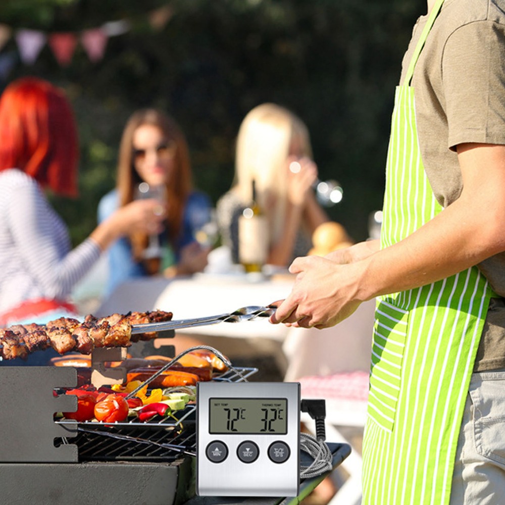 Silver Digital BBQ Meat Thermo - Pool Alarm Float のレビューと価格